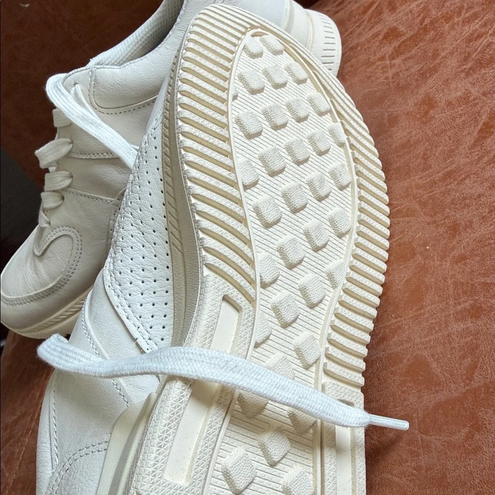 NEW Everlane The Trainer genuine leather sneaker size 8
